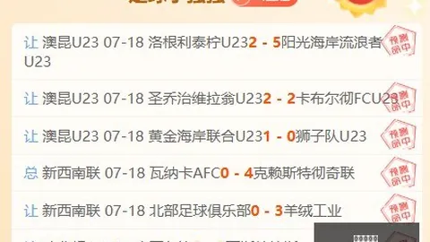 独家梅姨公，浙江体彩网信息，诉案始末深度分析